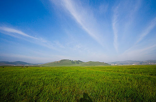 内蒙,坝上,乌兰木统,乌兰木统草原,红山,军马场,草原,草地