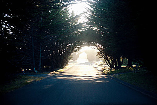 乡村道路