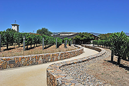 风景,葡萄园,葡萄酒厂,那帕山谷,加利福尼亚,美国