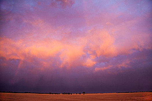 地点,乌云,日落,维多利亚,澳大利亚