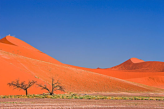 沙丘,纳米布沙漠,索苏维来地区,纳米比亚