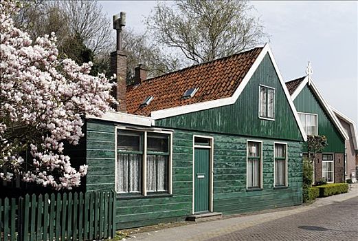 特色,木质,建筑,17世纪,老,捕鲸,乡村,省,北荷兰,荷兰,欧洲