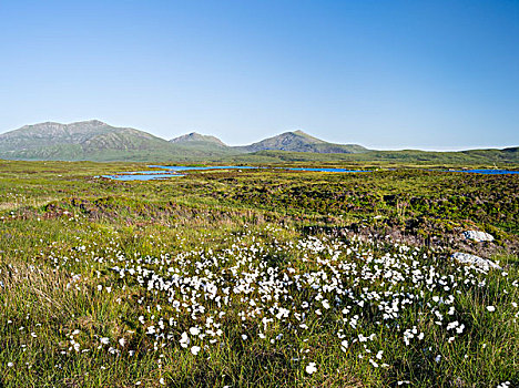 风景,岛屿,南,湖,保护区,欧洲,苏格兰,大幅,尺寸