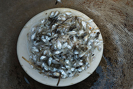 小,鱼,收集,野外,虾,油炸,市场,海滩,四月,2007年,孟加拉,大,重要