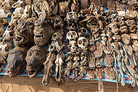 非洲,西非,多哥,动物头,蛇,出售,传统,迷恋,市场