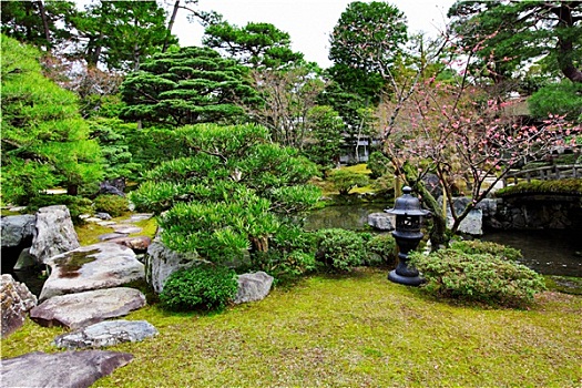 日式,花园