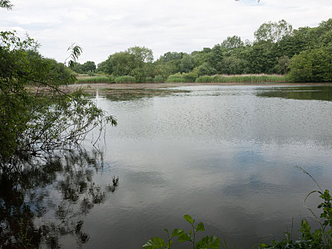 乡野,湖,场景,夏天,英格兰,英国