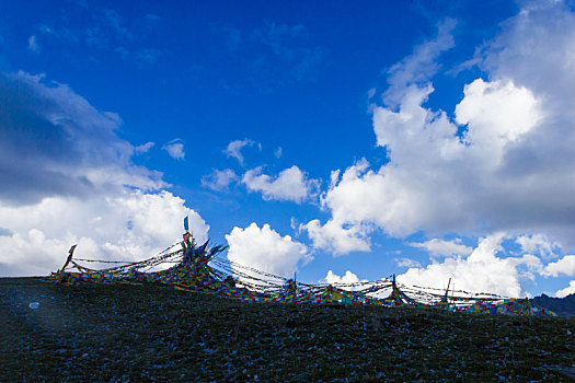 雅克,夏雪