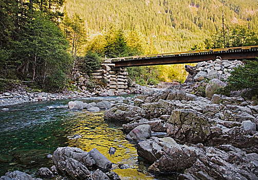 桥,上方,河,麋鹿,瀑布,不列颠哥伦比亚省,加拿大