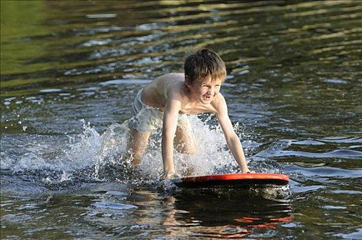 男孩,趴板,自然,湖,水,策勒,下萨克森,德国