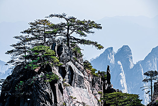 安徽黄山景观