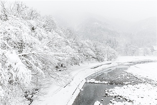 日本,冬天