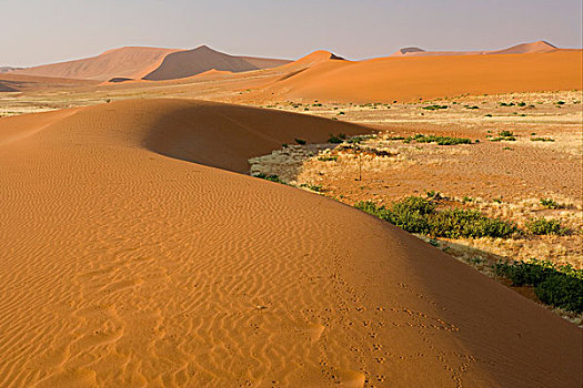 风景,古老,红色,沙子,沙丘,国家,公园,纳米比亚,非洲