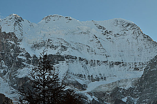 仙乃日雪山