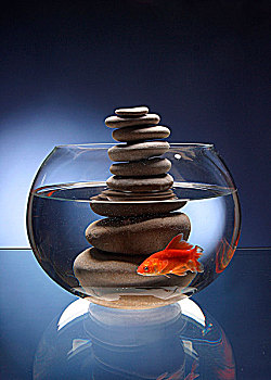 金鱼缸,石头