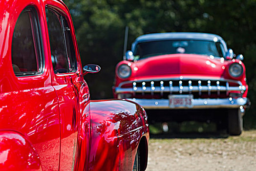 美國,馬薩諸塞,古董車,展示,20世紀50年代,福特汽車