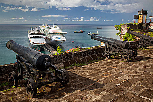 大炮,堡垒,远眺,游船,港口,圣徒,格林纳达,西印度群岛