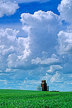 庄稼地,老,谷仓,积雨云,云,卡迪拉克,萨斯喀彻温,加拿大
