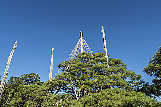 建筑,花园,石川,日本