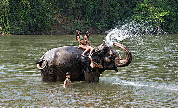 大象,飞溅,两个,旅游,北碧府,省,中心,泰国,亚洲