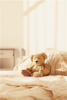 泰迪熊,医院,床