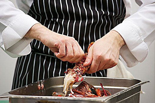 厨师,准备,海螯虾