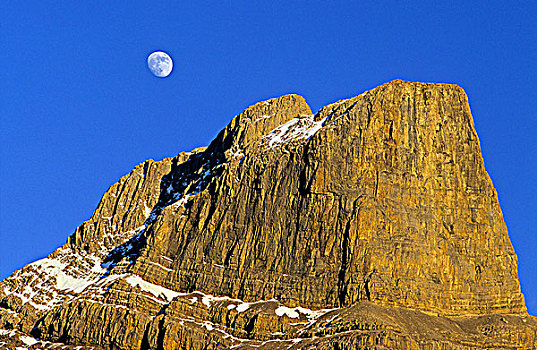 月亮,上升,上方,碧玉国家公园,艾伯塔省,加拿大
