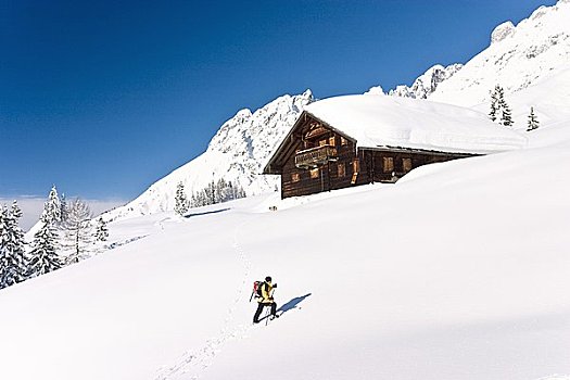女人,滑雪,远足,斜坡,奥地利