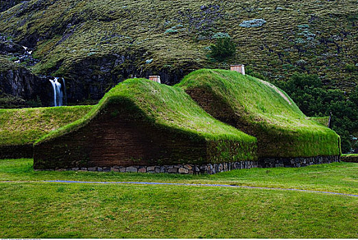 维京,草皮,冰岛
