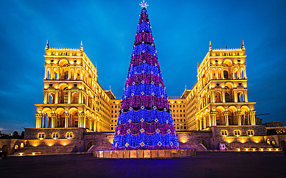 巴库,一月,政府,房子,阿塞拜疆,圣诞树,正面