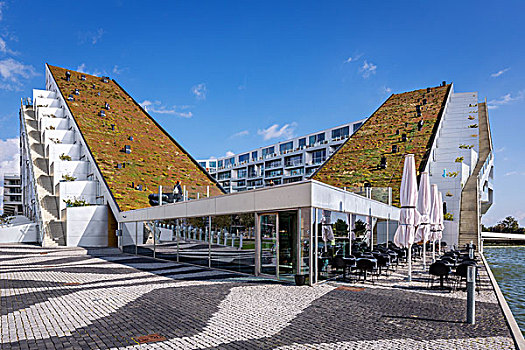 房子,大,现代建筑,建筑师,奖,最好,建筑,世界,区域,哥本哈根,丹麦,欧洲