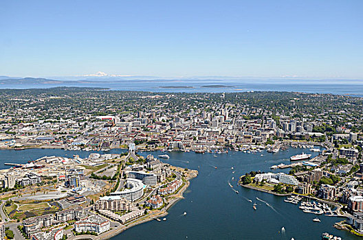 俯视,风景,维多利亚,港口,温哥华岛,不列颠哥伦比亚省,加拿大