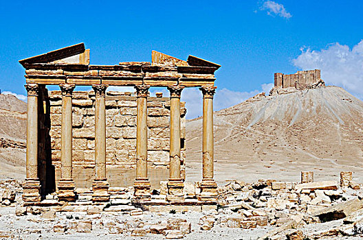 遗址,严肃,庙宇,发掘地,帕尔迈拉,叙利亚,亚洲
