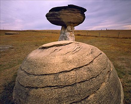 蘑菇,石头,保存,堪萨斯