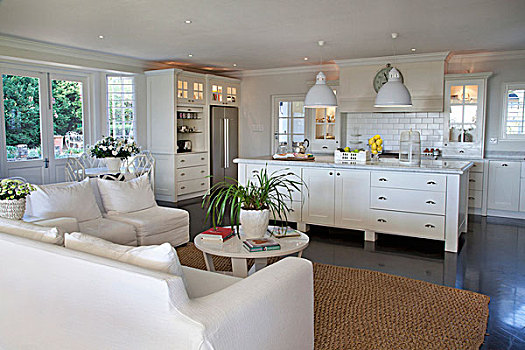 室内,白色,沙发,独立式,厨房操作台