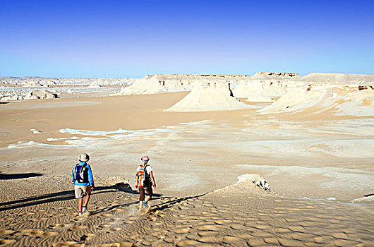 埃及,游客,走,白沙漠