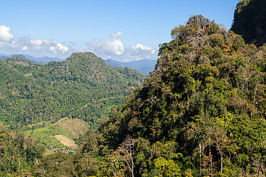 风景,山,乡村,丛林,竹林,区域,儿子,省,北方,泰国,亚洲