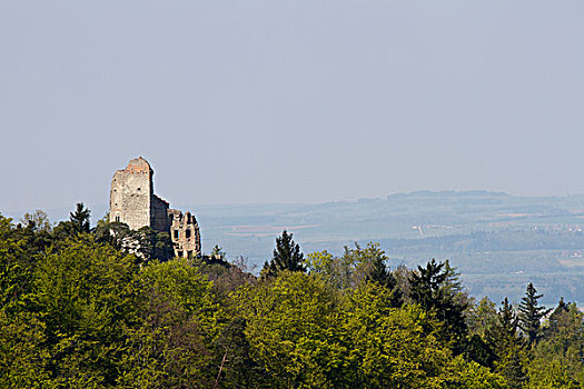 城堡,遗址,康士坦茨湖,康斯坦茨,巴登符腾堡,德国,欧洲