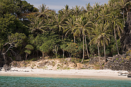 棕榈树,海滩,泰国