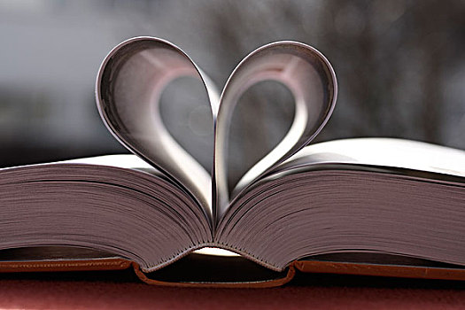 书本,页面,心形,爱情故事