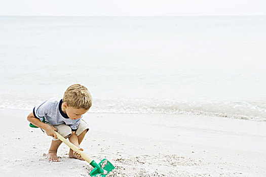 男孩,蹲,海滩,挖,沙子,铲