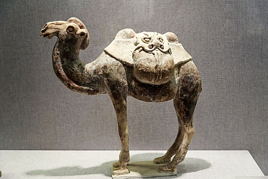 唐三彩骆驼俑,中国河南省洛阳博物馆馆藏文物