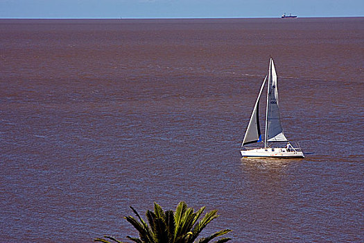 船,河,拉普拉塔河,南美洲,靠近,萨克拉门托,乌拉圭