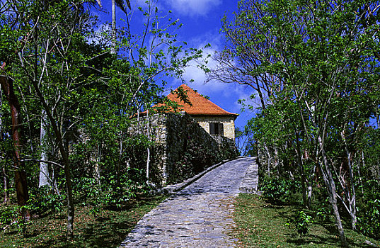 古巴,生物保护区,咖啡种植园,房子