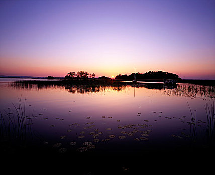 日落,上方,小岛,湖,蒂帕雷里,爱尔兰