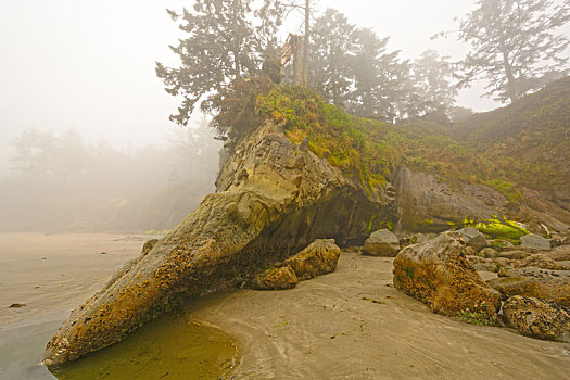 雾,雾气,岩石,海岸线