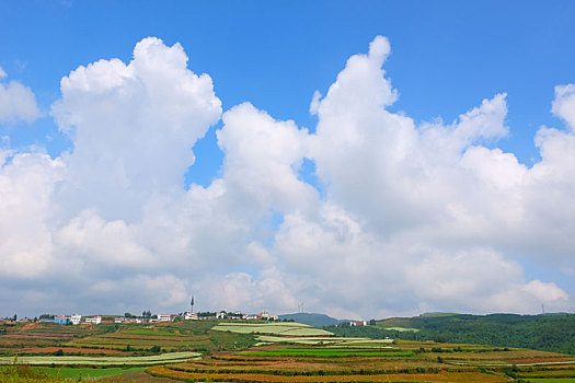 昆明东川红土地