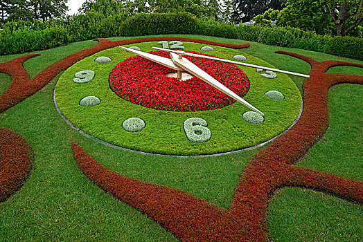 花,钟表,日内瓦,花园,靠近,日内瓦湖,瑞士