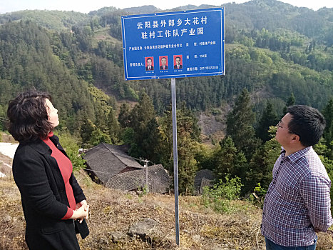 汽车定风翼