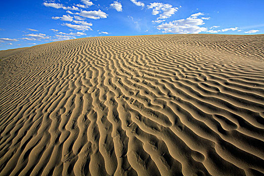 沙子,山,生态,自然保护区,靠近,萨斯喀彻温